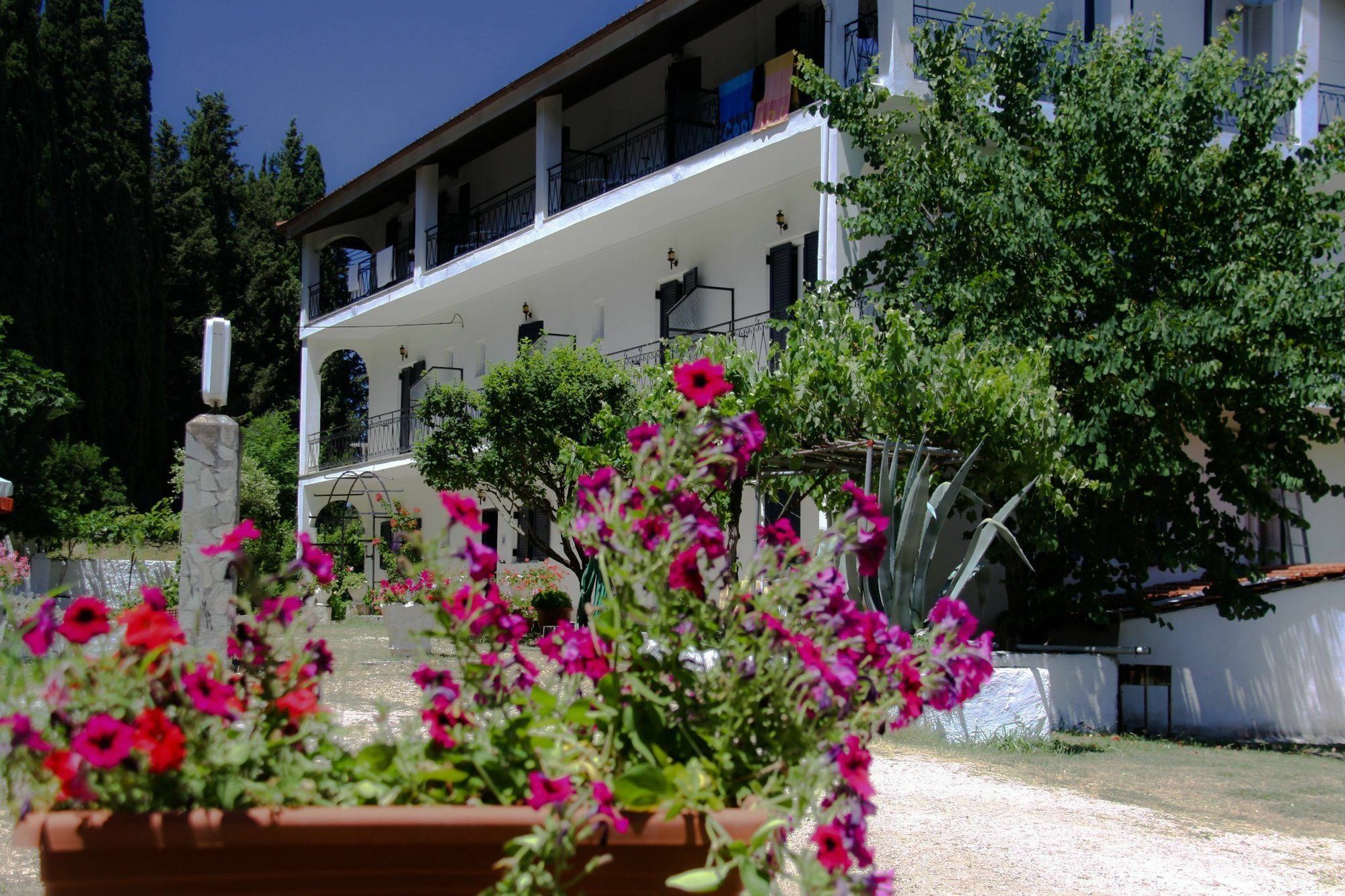 Pension Ipiros Gouvia Exterior foto